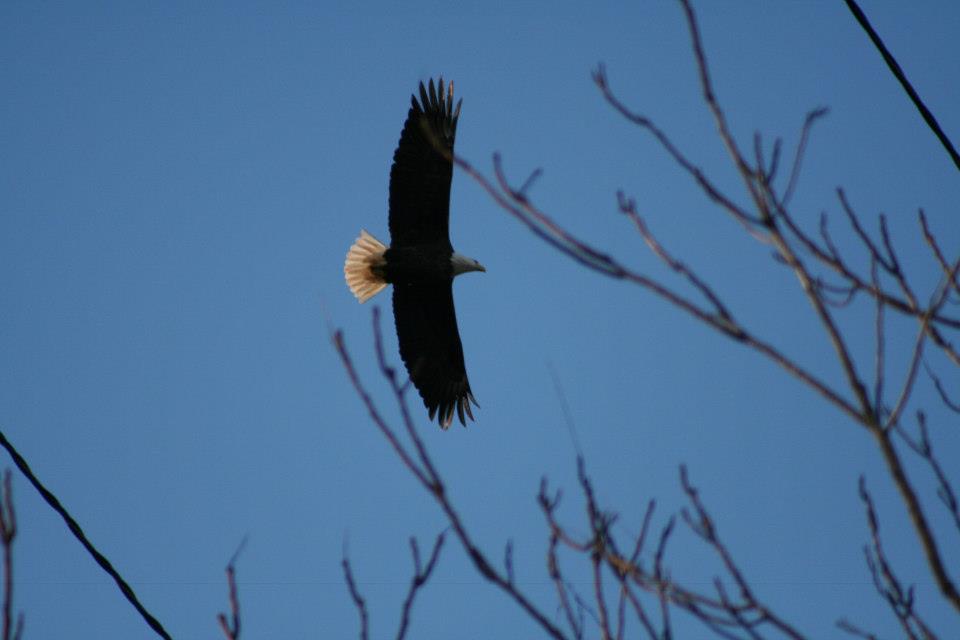 In FLight Jeffry Cadorette December 2012.jpg
