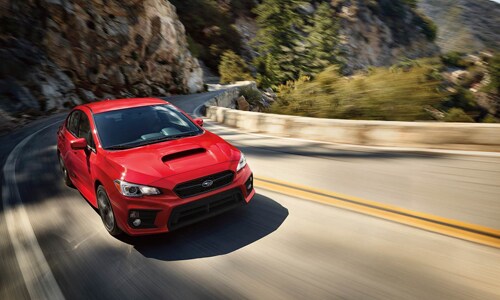 WRX-3.png
