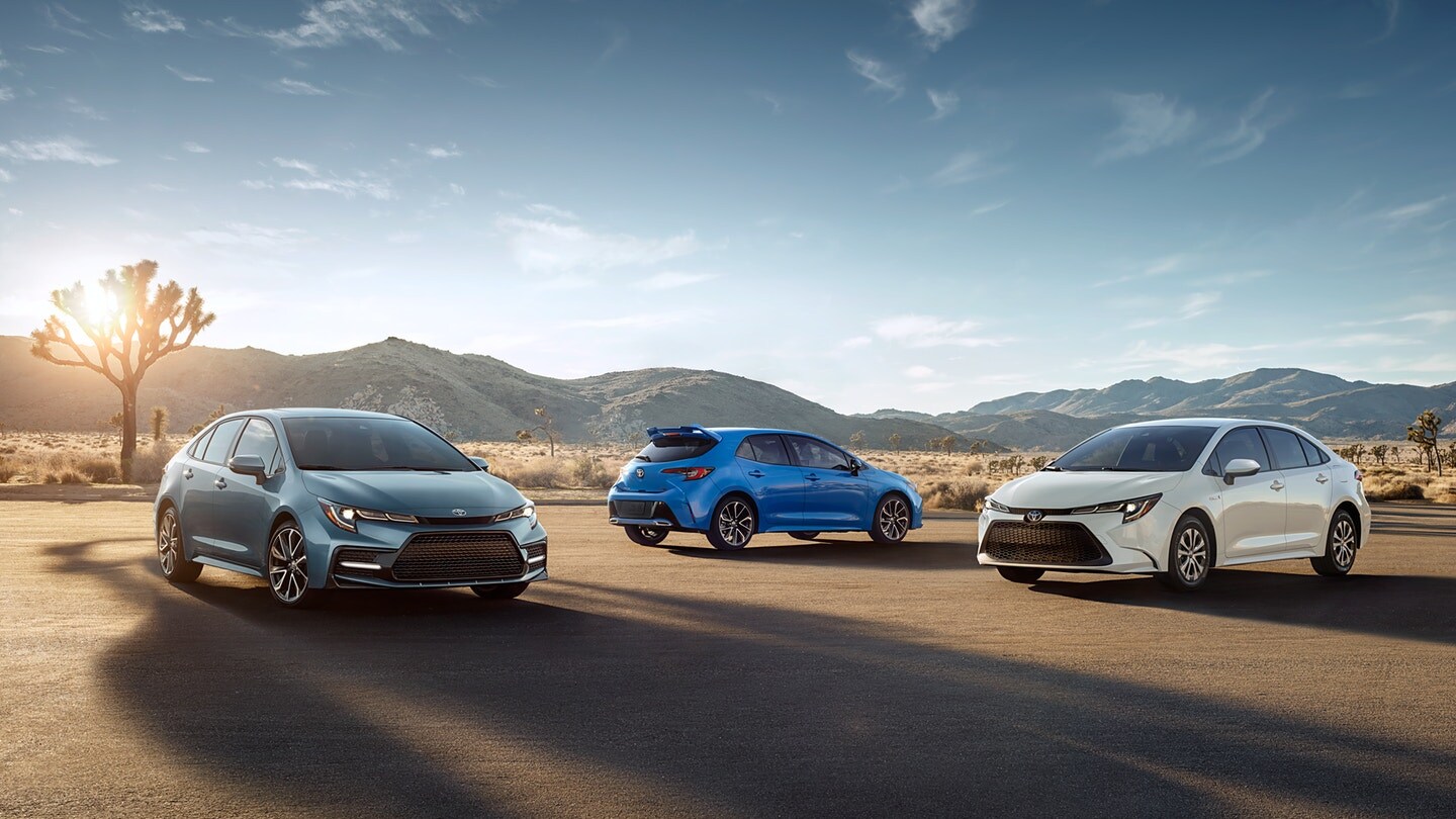 Corolla Group.jpg