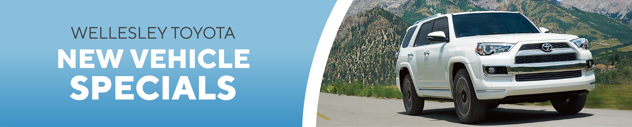Page header - new vehicle specials.png