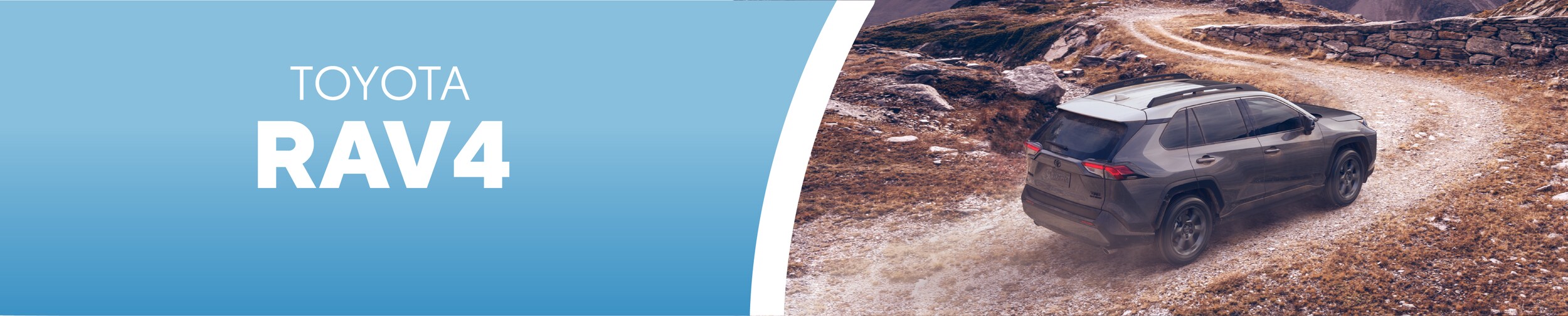 Rav 4 banner
