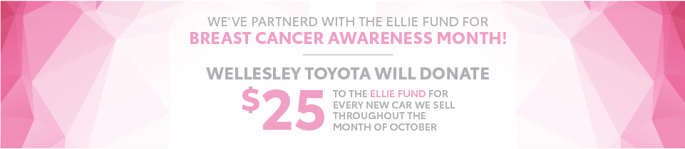 Wellesley - Ellie Foundation SRP - October.png