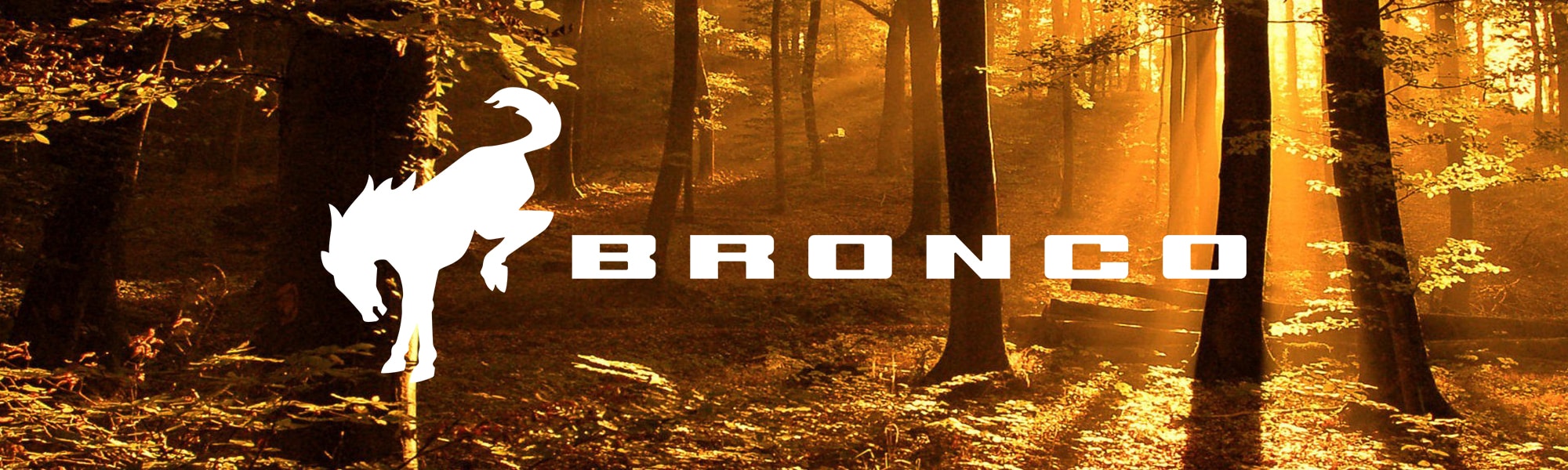 2021fordbronco