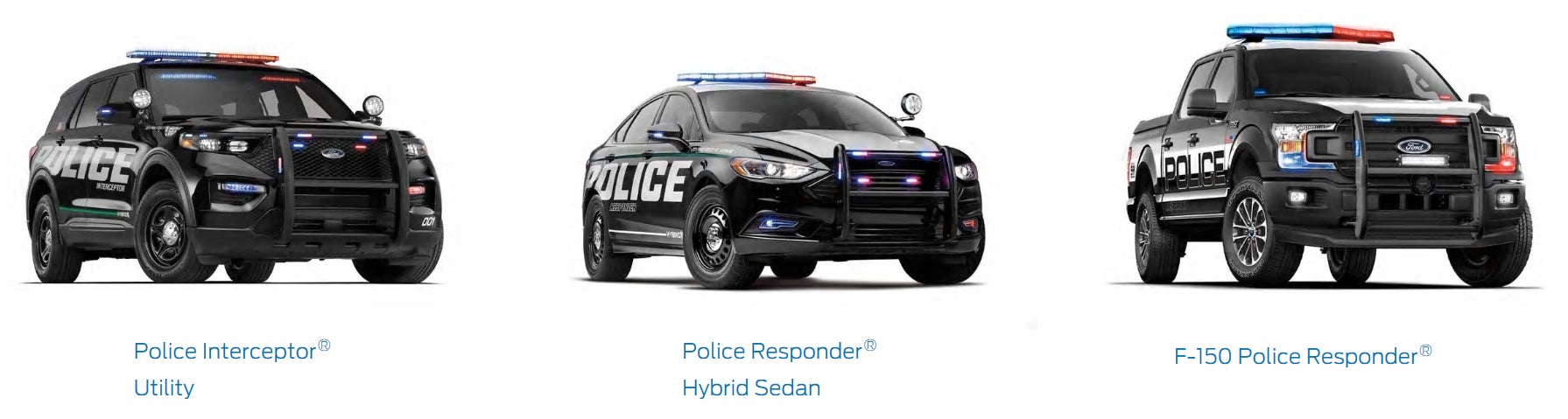 Ford Police Lineup