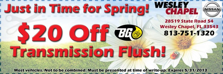 BG-Transmission-Flush.jpg