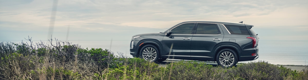 2021 Hyundai Palisade Limited SUV 2021 Hyundai Palisade Limited SUV