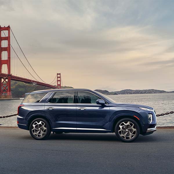 Model Features of the 2022 Hyundai Palisade at West Broad Hyundai | Profile View of Blue 2022 Hyundai Palisade Parked In Front of Bridge