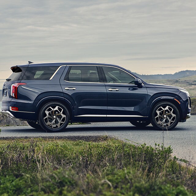 Accessories that help keep your Hyundai protected at West Broad Hyundai in Henrico, VA | Profile of Hyundai Palisade Calligraphy Parked at Ocean with Hills in Background