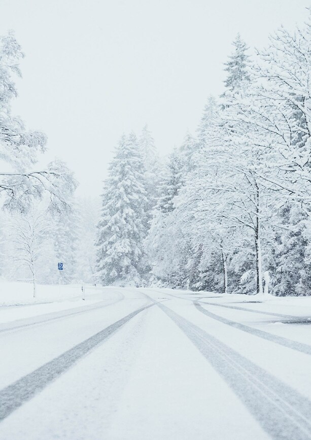 How to prepare your Hyundai for the winter season in Henrico, VA at West Broad Hyundai | Neighborhood road and trees filled with snow with tire marks on the ground