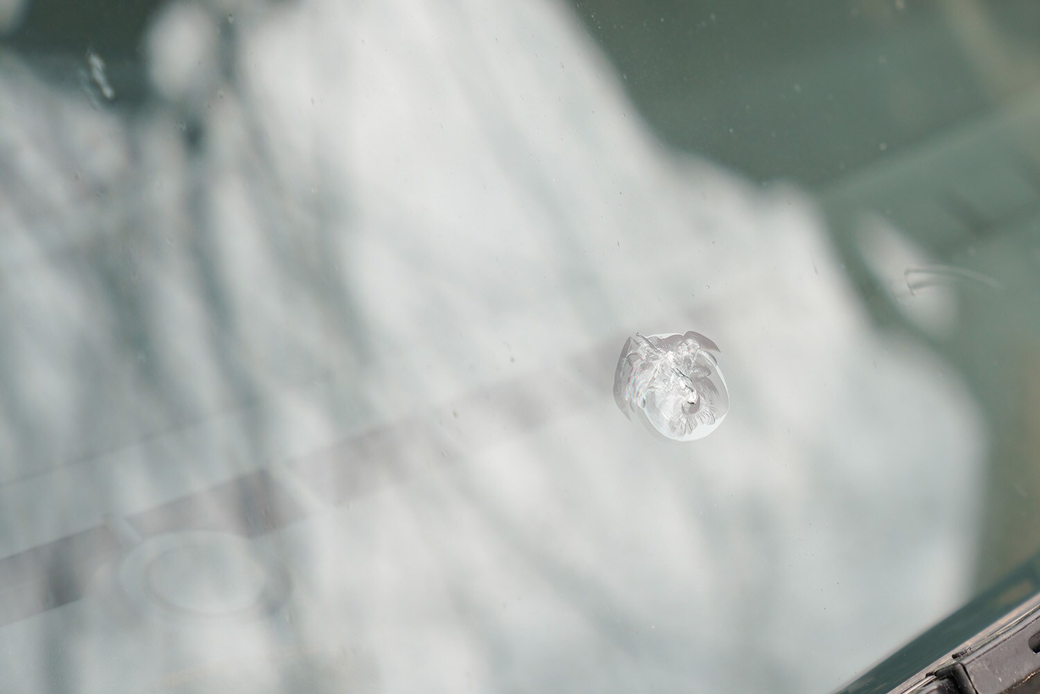 Why You Shouldn't Drive Around with a Chipped Windshield at West Broad Hyundai in Henrico, VA | A fresh chip in a windshield that will eventually collect dust and debis causing it to be dangerous