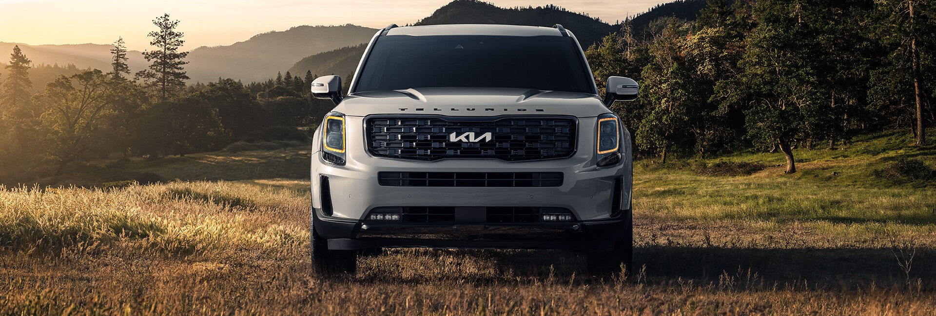 Performance features of the 2022 Telluride at West Broad Kia of Richmond | 2022 Kia Telluride sitting in sunny field