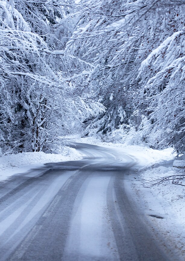 How to prepare your Volkswagen for the winter season in Richmond, VA at West Broad VW | Road and trees covered with snow