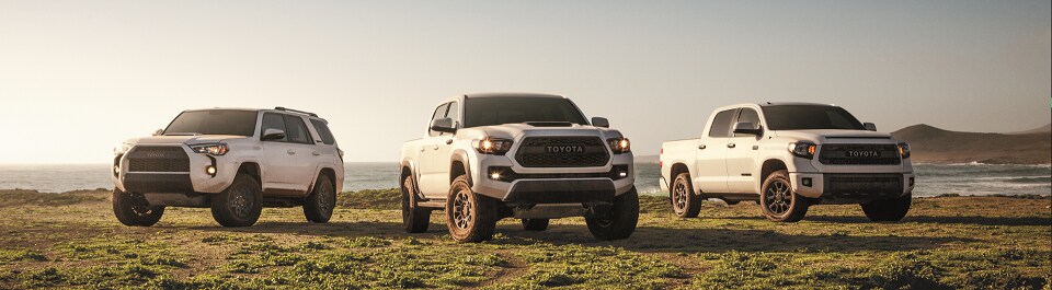 17-toyota-family.PNG