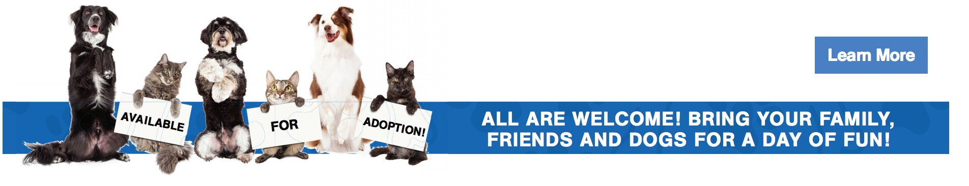 2021 learn more dog fest button.png