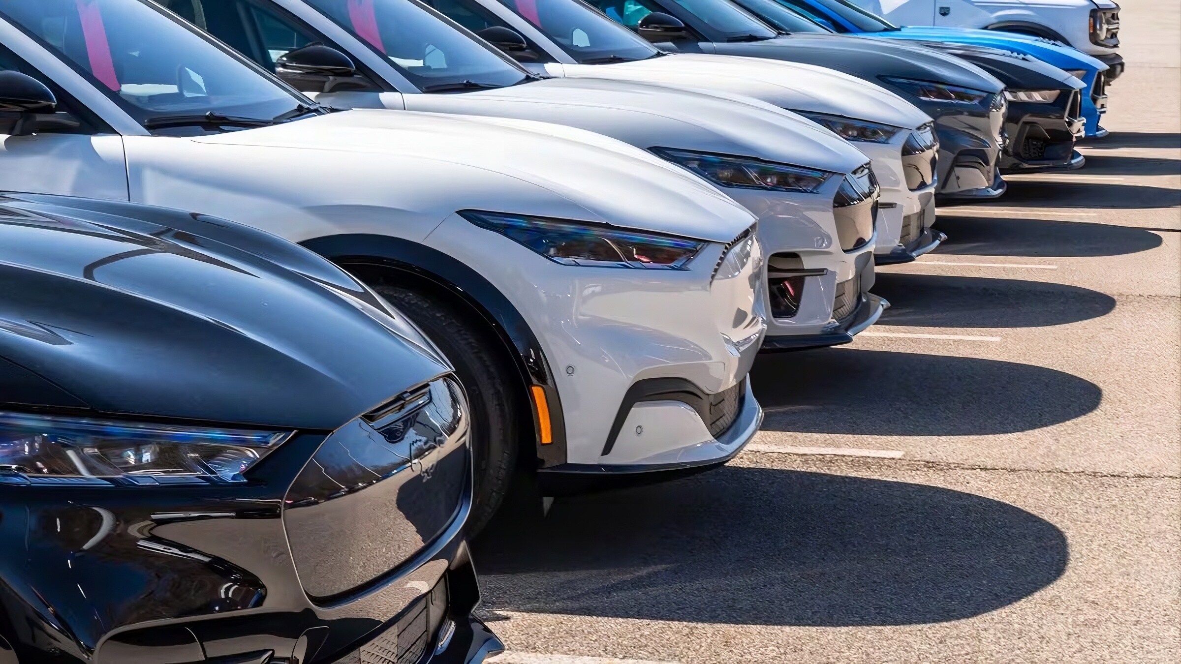 New%20SUVs%20for%20Sale.jpeg