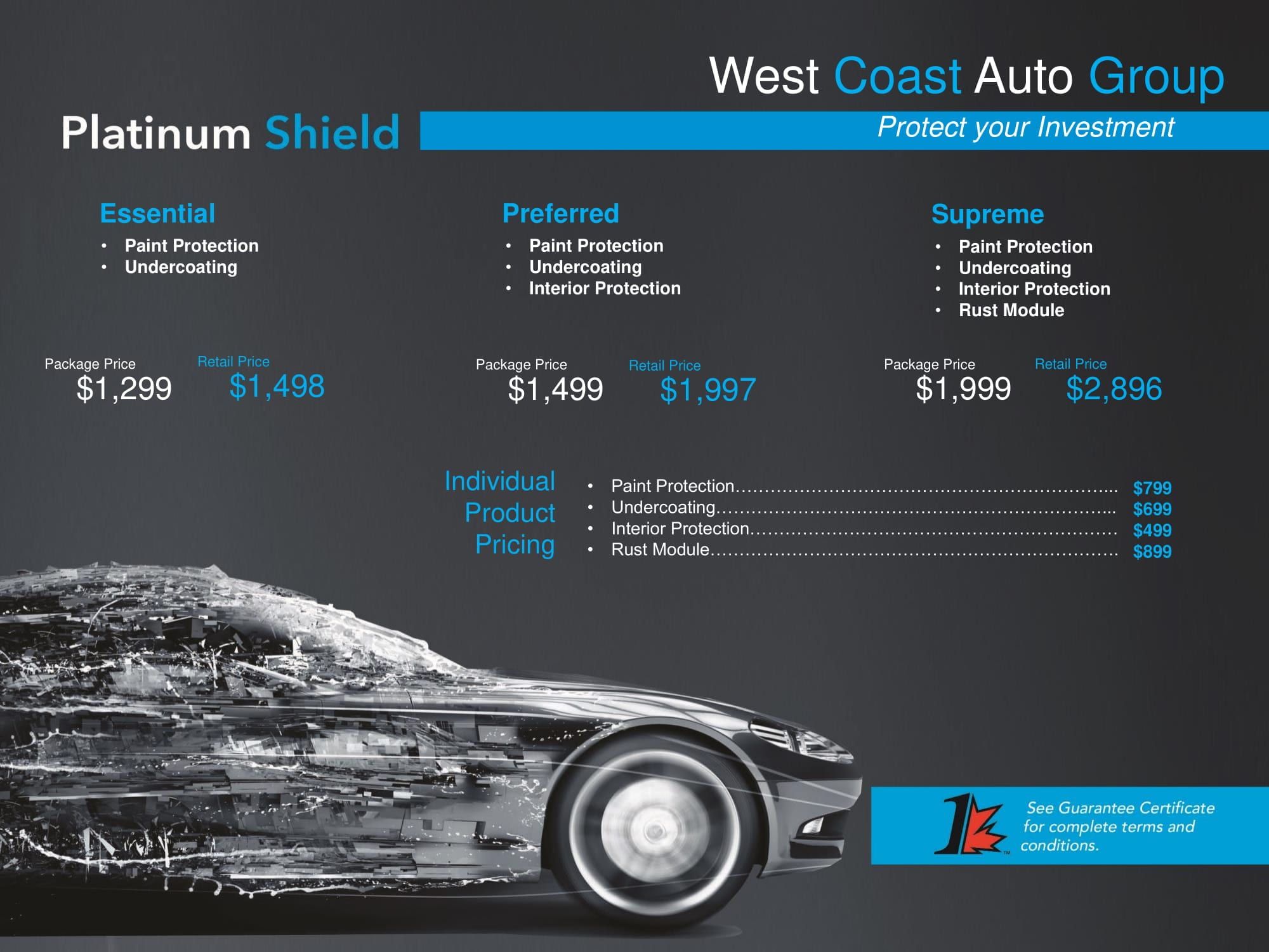 Platinum Shield Vehicle Protection