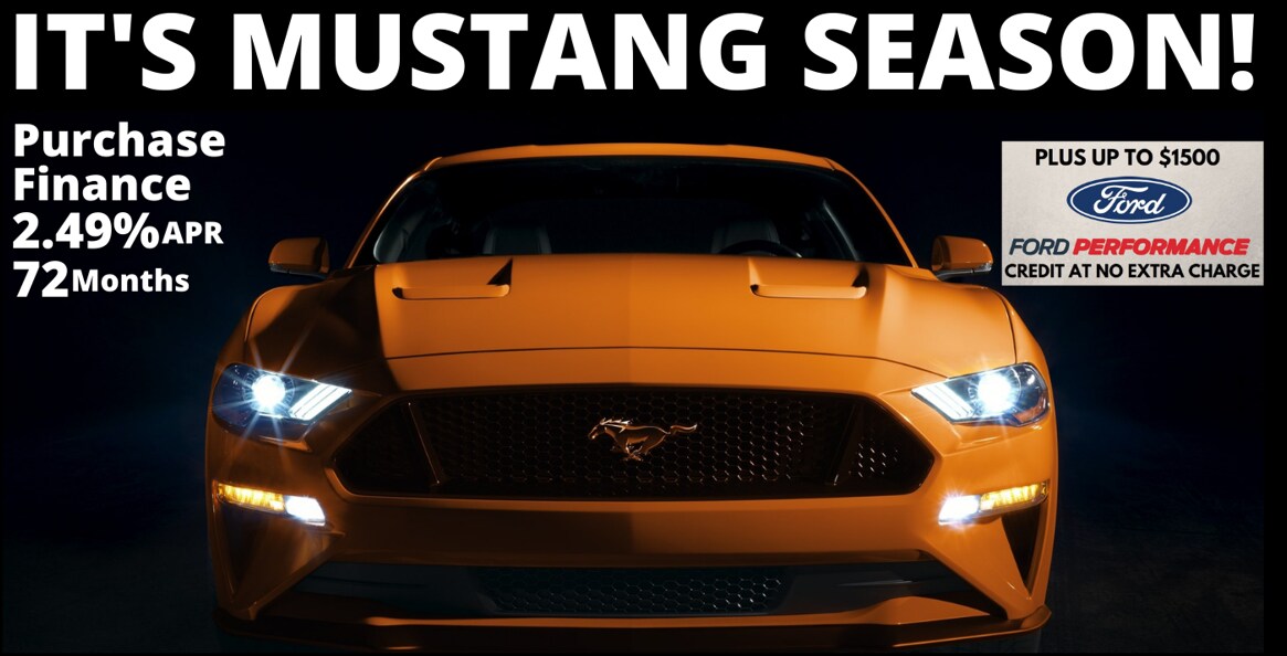 mustang season.png