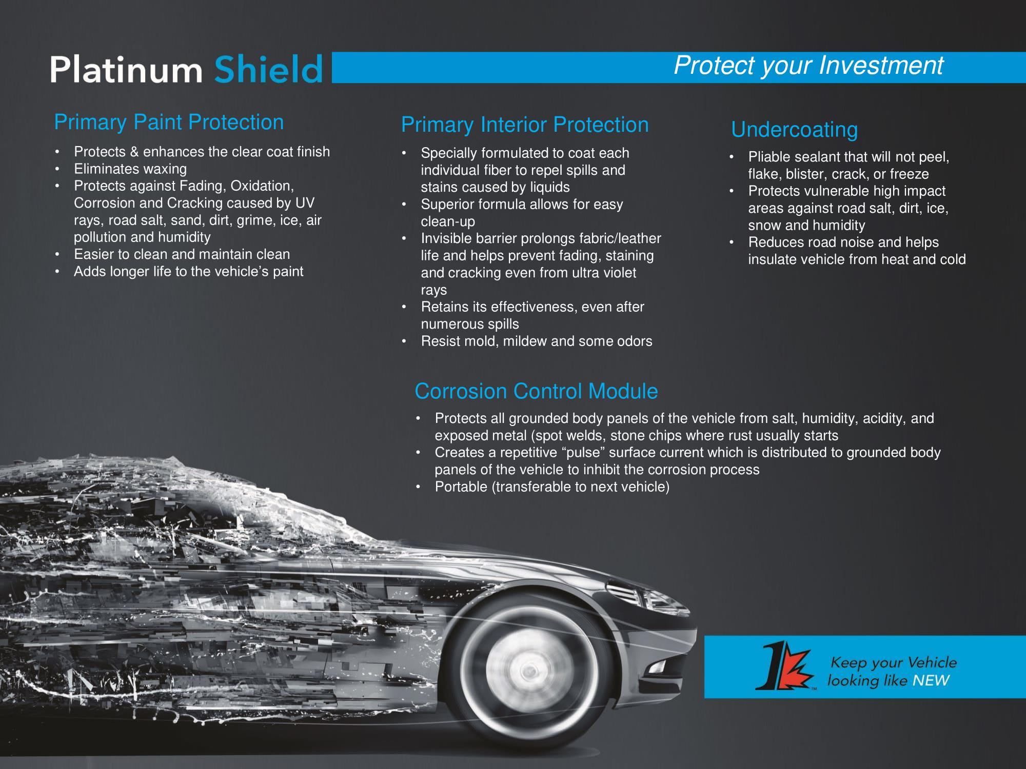 Platinum Shield Vehicle Protection 2