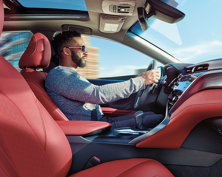 2019 Toyota Camry Hybrid - Interior Seating