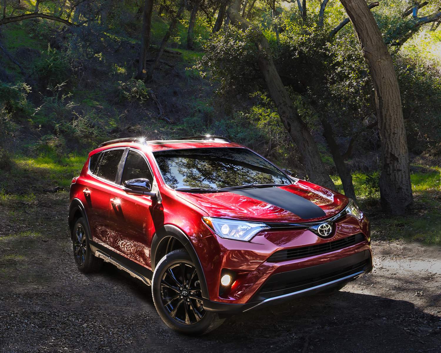 2018 Toyota RAV4 - Exterior Front