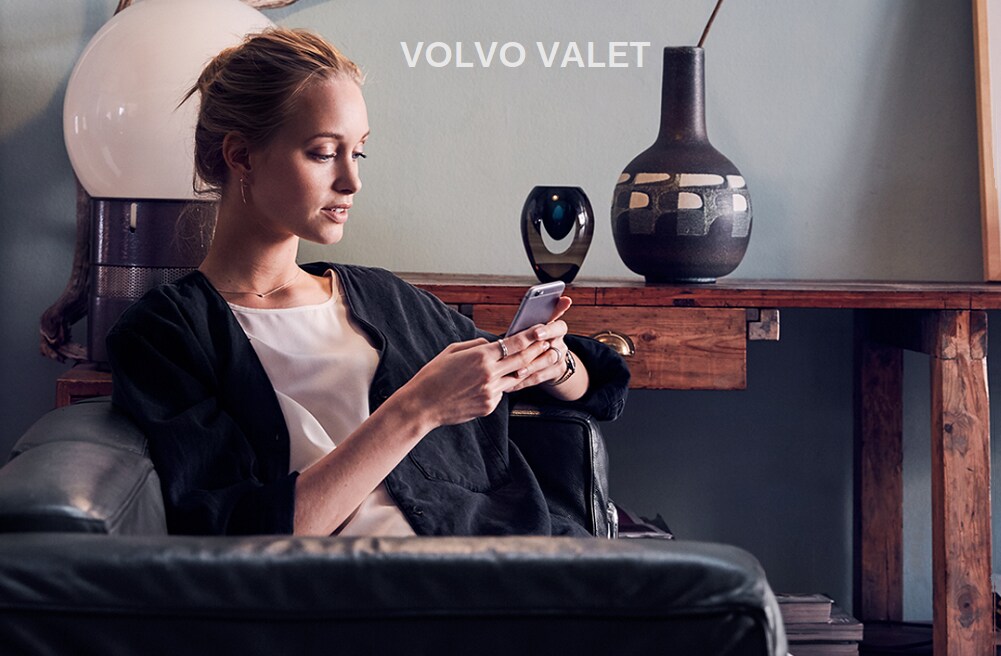 volvo-valet-blank.png