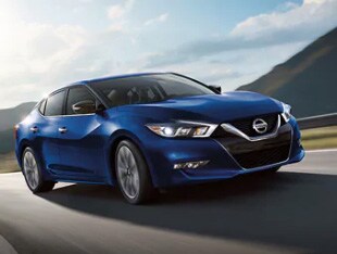 nissan-maxima-car-model.jpg