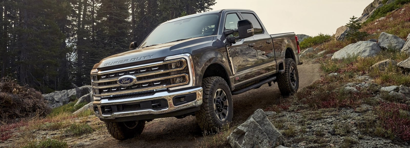 2025 Ford F-250 for Sale near Palisade, CO