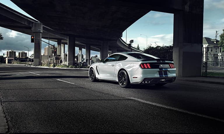 2019 Ford Mustang Shelby GT350 Rear Shot Under A Bridge