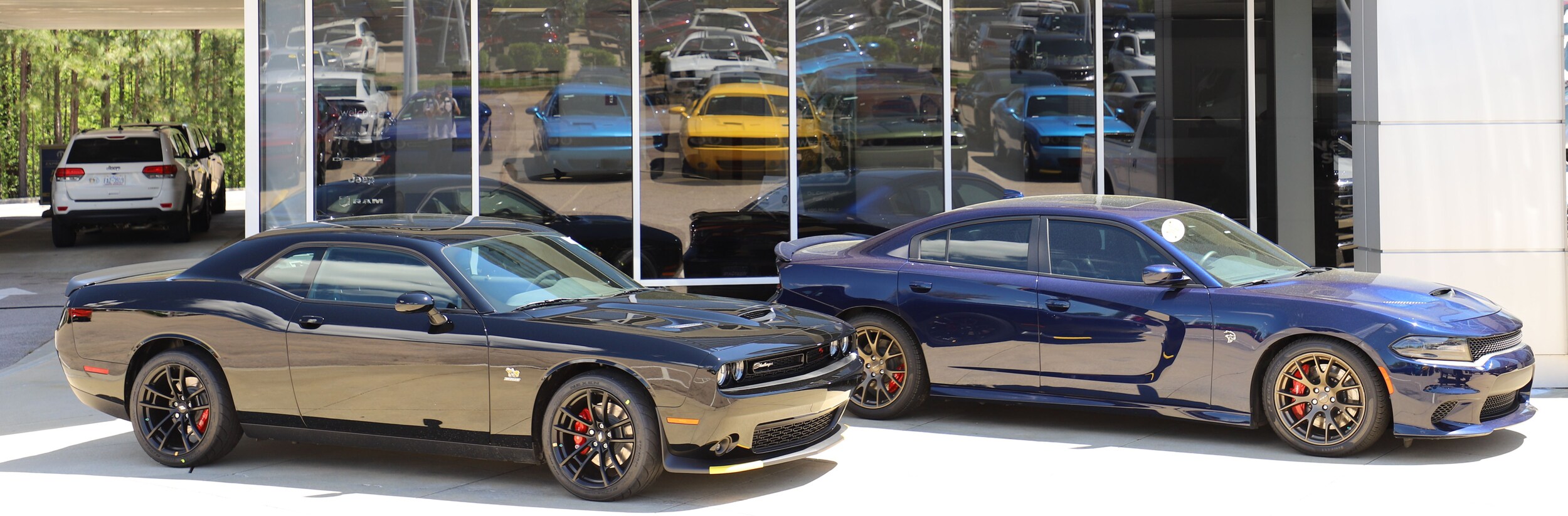 Choose Your Vehicle