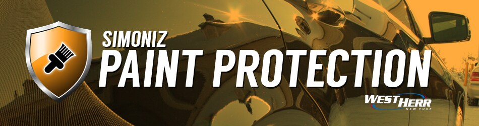 Paint Protection Banner (1).jpg