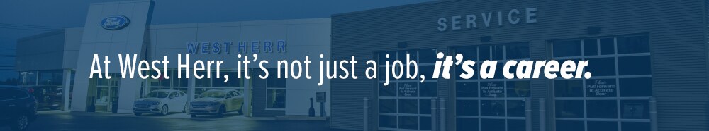 Career