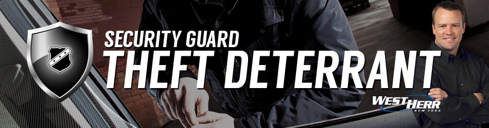 Theft Deterrant Banner.jpg