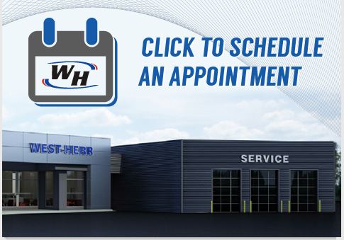 service appointment image.jpg