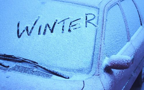 winterize5.jpg