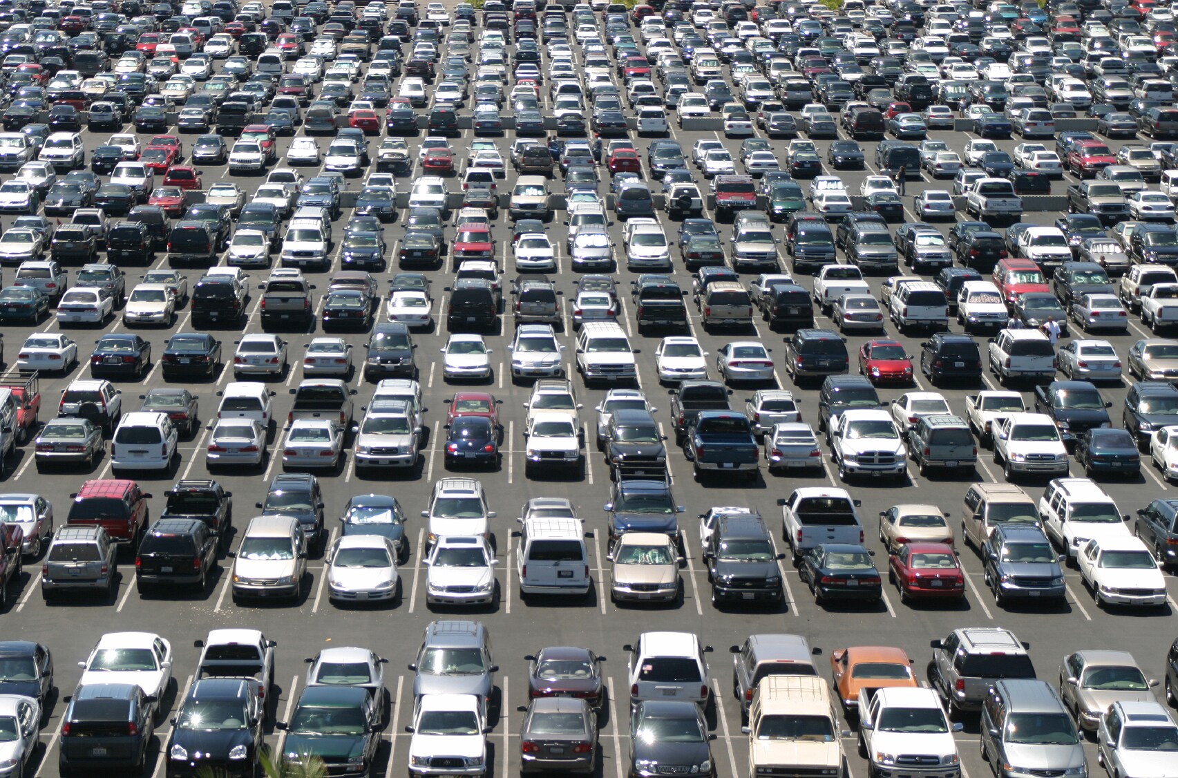 full lot.jpg