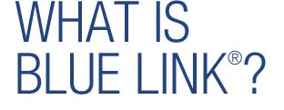 What Is Blue Link?