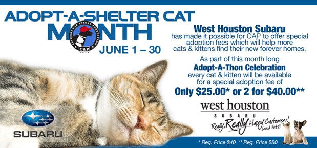 June---AdoptAThon.gif