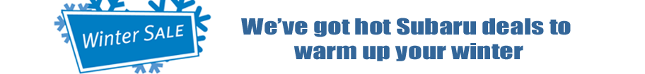 WinterWonderSaleBanner.gif