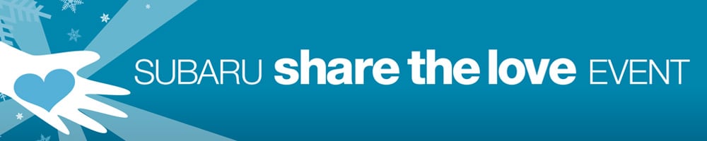 Share the Love 2013 Banner.jpg