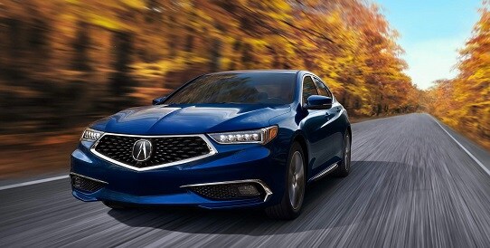 Acura Appearance Protection Plan | West Side Acura Acura Appearance Protection Plan | West Side Acura