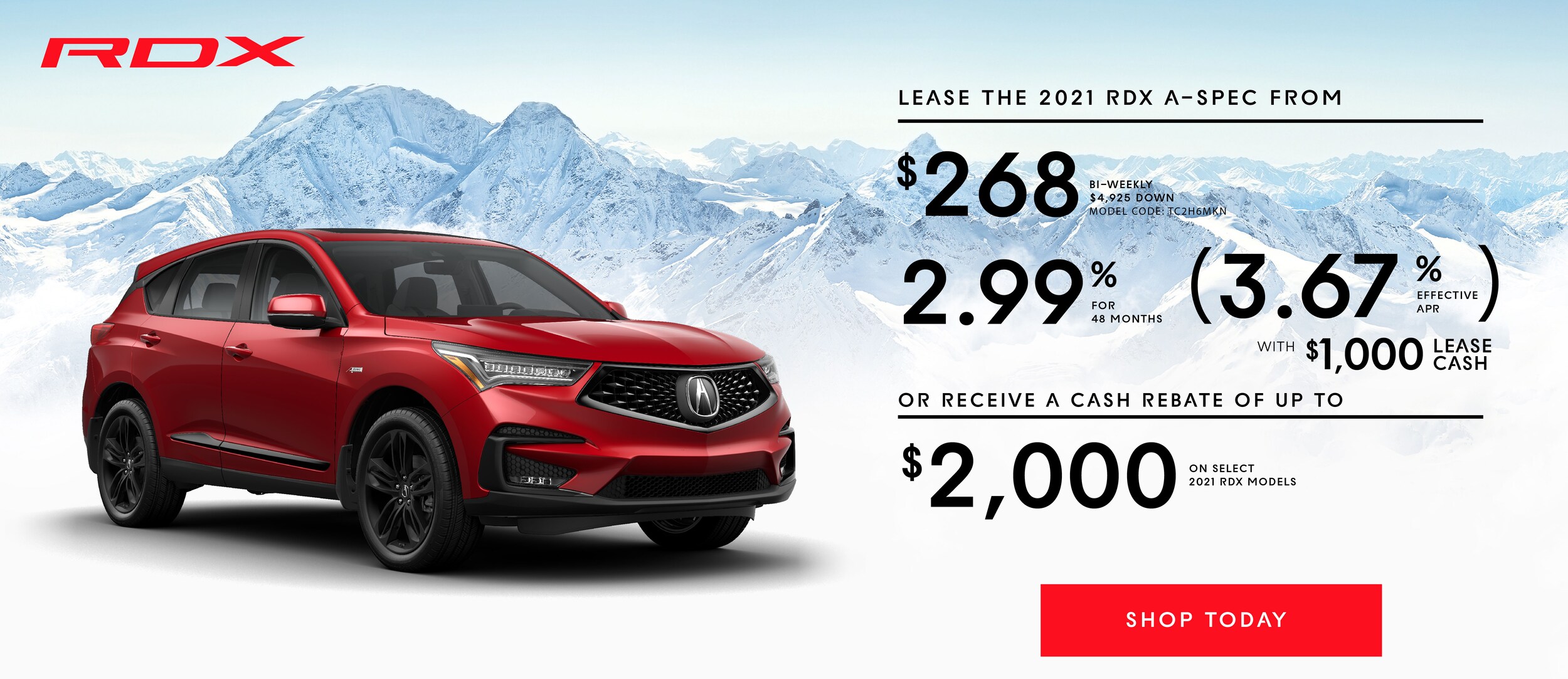 WSA - 2020 RDX incentive and model landing page slide.jpg
