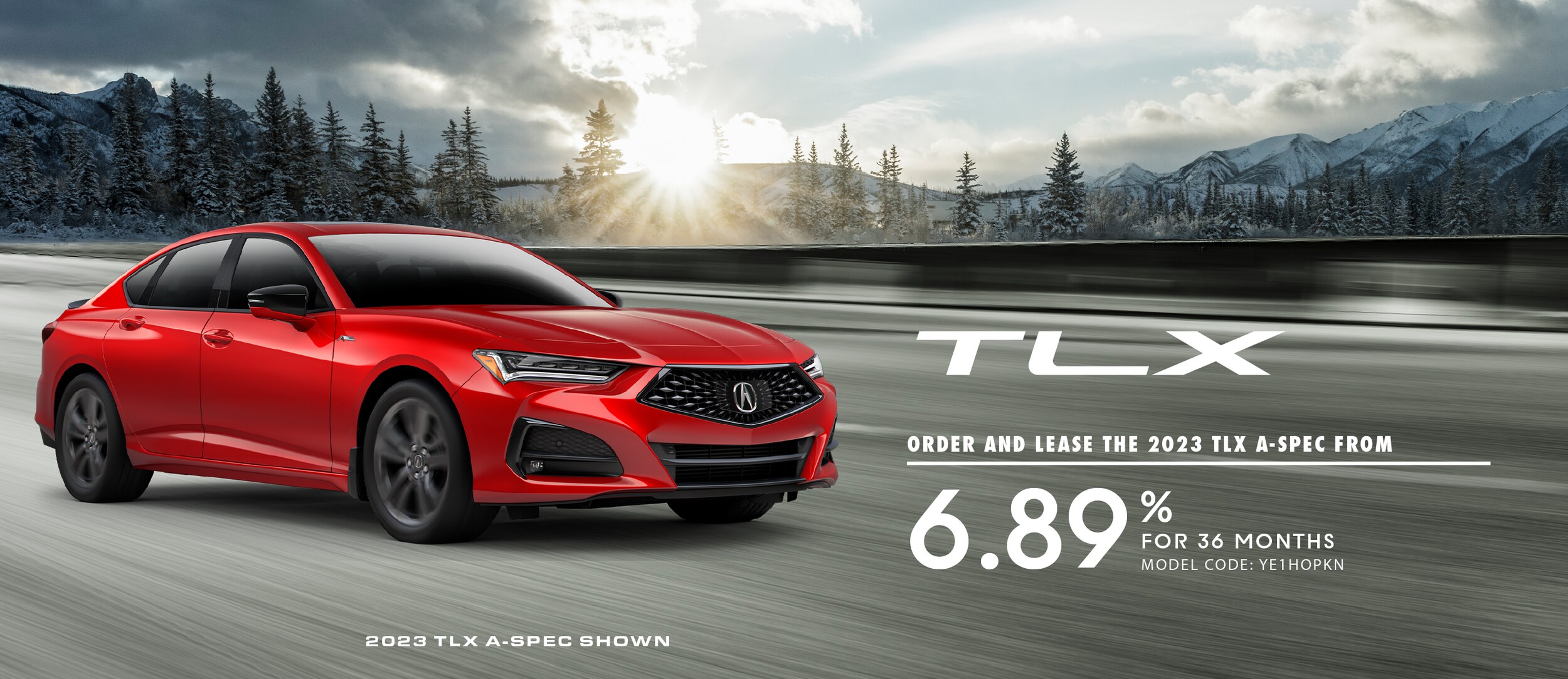 Home page 1600 x 428TLX.jpg