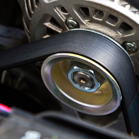 iStock_000024220512_Large.jpg