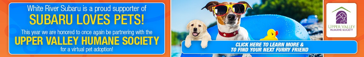 Pets1200x37523 2020 .jpg