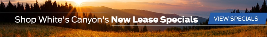 June- Specials- banner.jpg