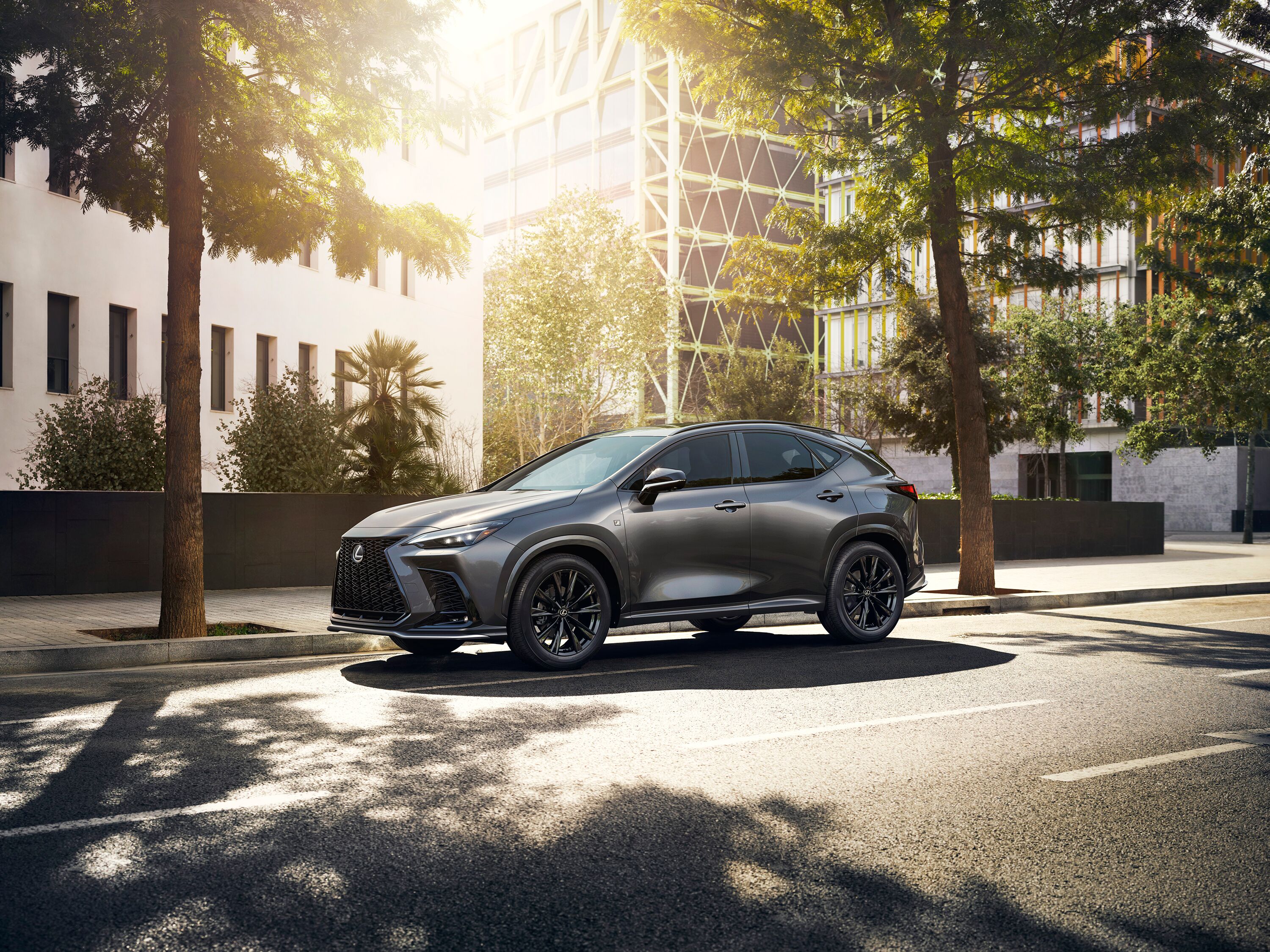 Which Lexus is right for me? Charcoal gray Lexus NX luxury compact SUV parked on a sunny city street.