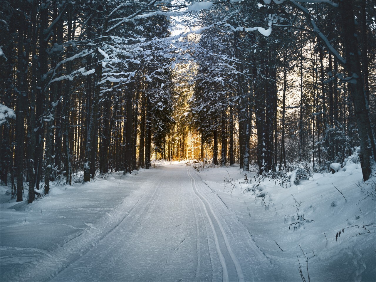 Winter.jpg