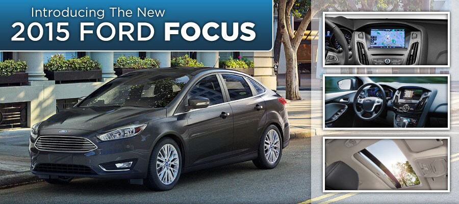 focus_01.jpg