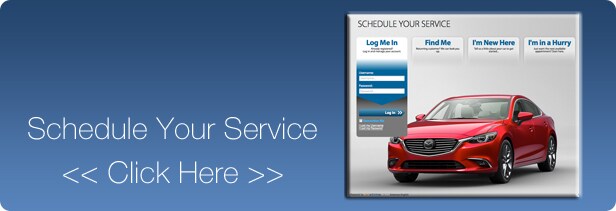 schedule-service-BUTTON-02.jpg