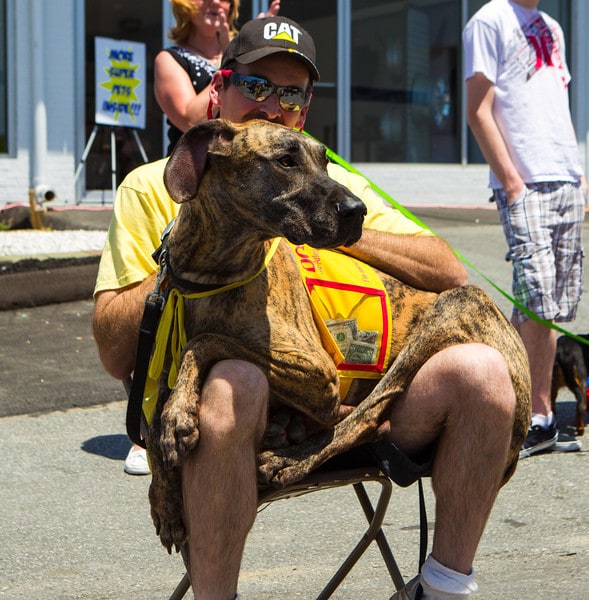 wilkinspets12_82.jpg